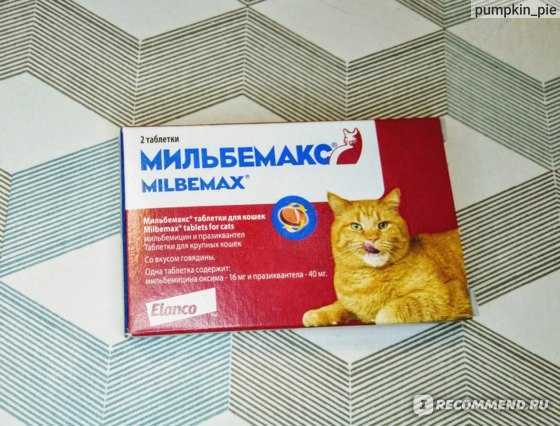 Мильбемакс для кошек и котят: инструкция по применению, аналоги, отзывы