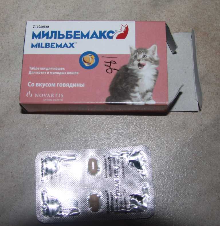 Обзор ветеринарного препарата мильбемакс