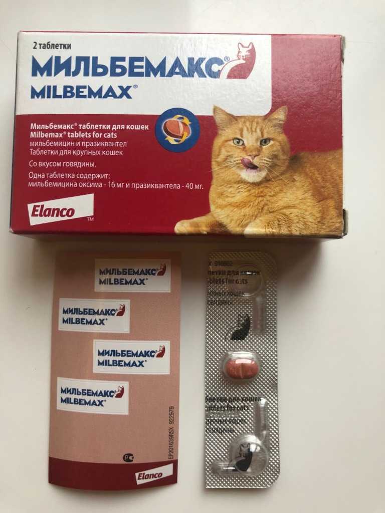 Novartis мильбемакс таблетки для взрослых кошек в городе сургут