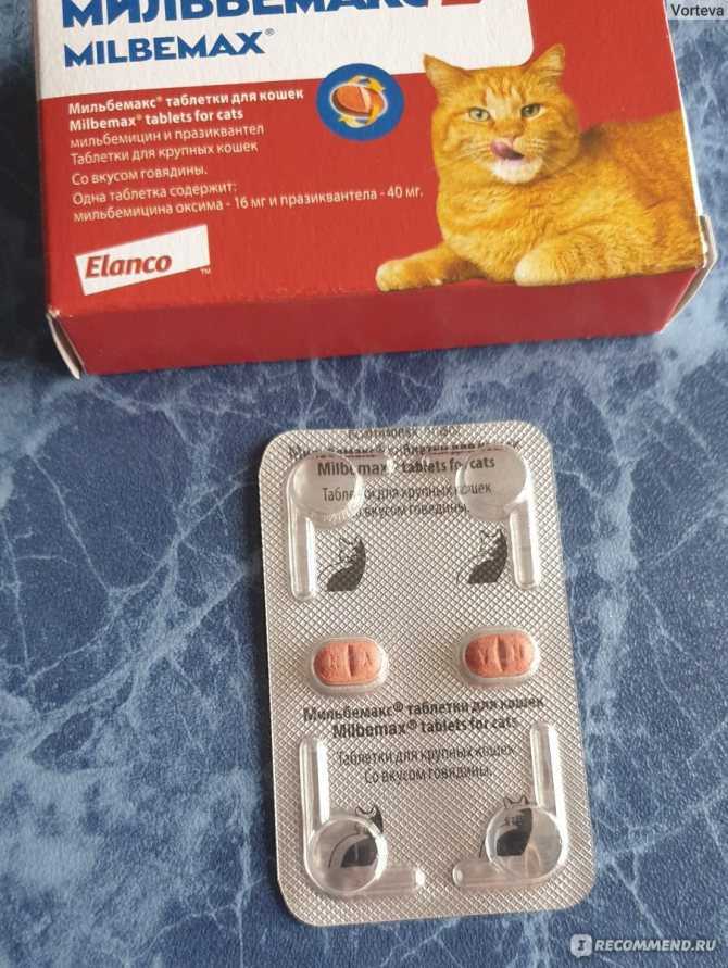 Novartis мильбемакс таблетки для взрослых кошек в г.  харьков, купить по акционной цене , отзывы и обзоры.