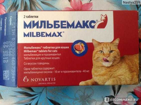 Novartis мильбемакс таблетки для взрослых кошек в городе харьков