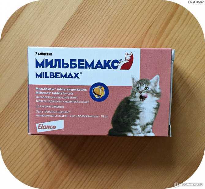Novartis мильбемакс таблетки для взрослых кошек в г.  петрозаводск, купить по акционной цене , отзывы и обзоры.