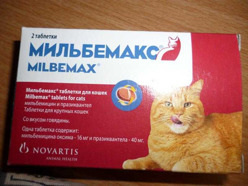 Novartis мильбемакс таблетки для котят и молодых кошек